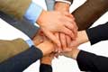 Executive Class Program Nomor Photo Enhance Career